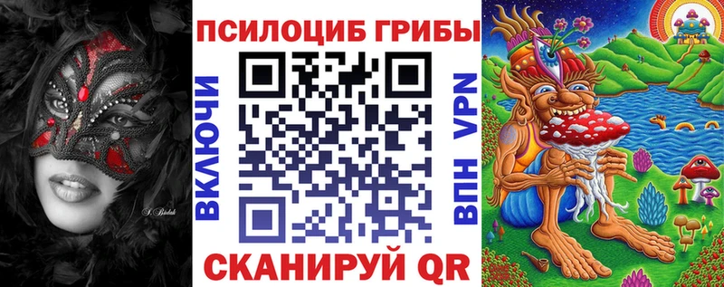 Галлюциногенные грибы Psilocybine cubensis  Купить где  Курильск 